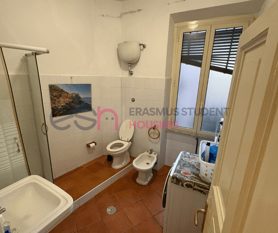 Shared Room in Rome photo 5