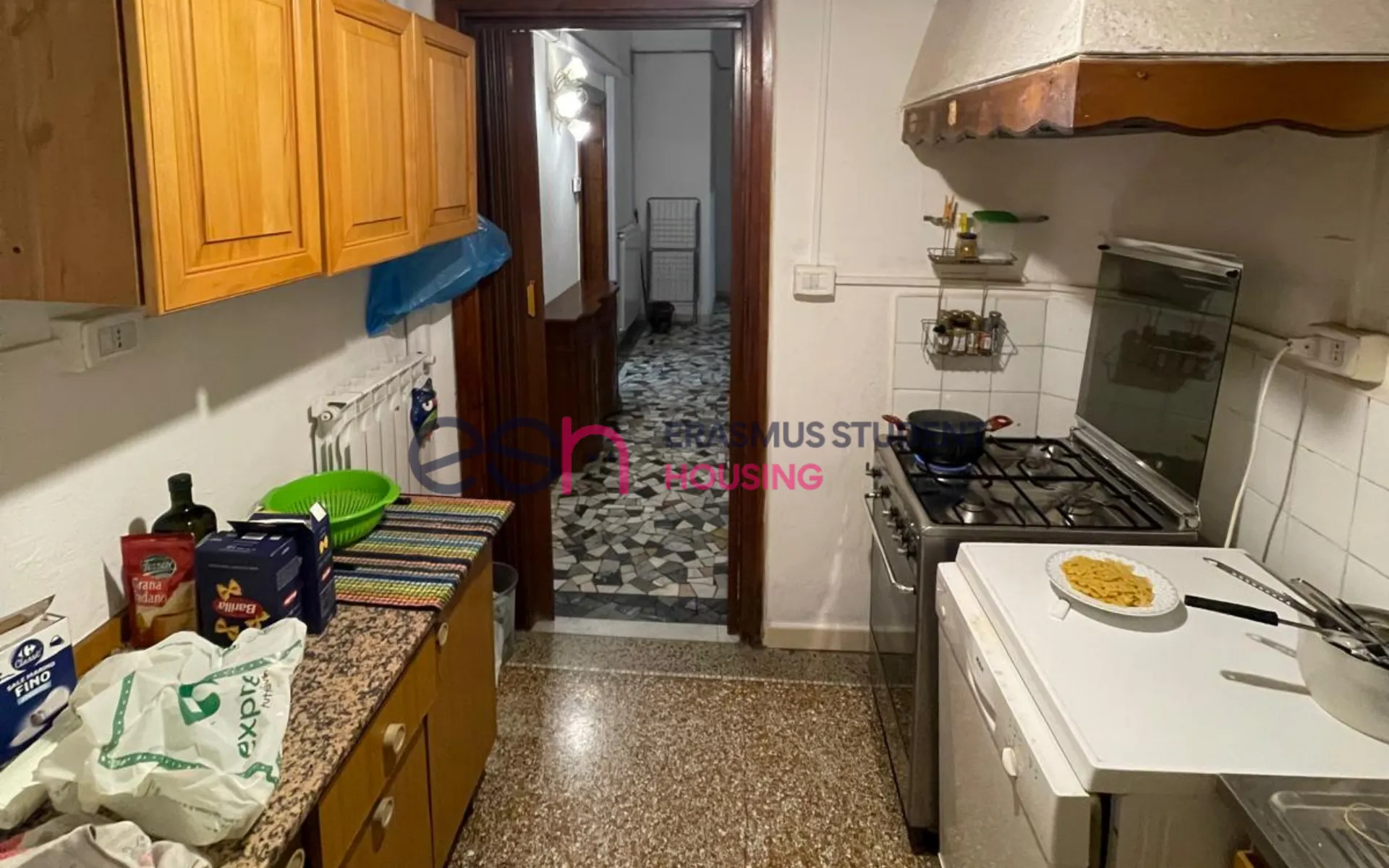 Shared Room in Pisa photo 4