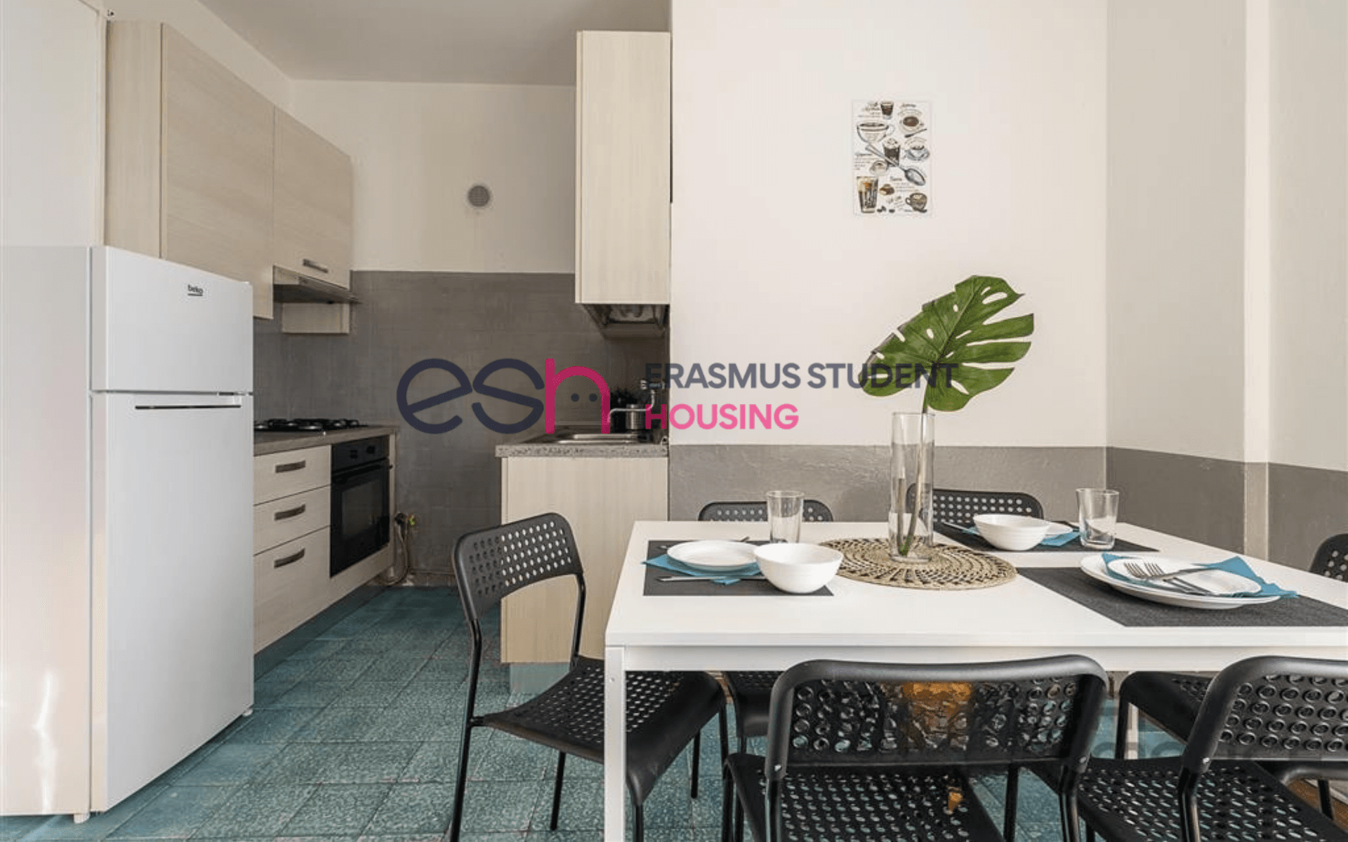 Shared Room in Pisa photo 5