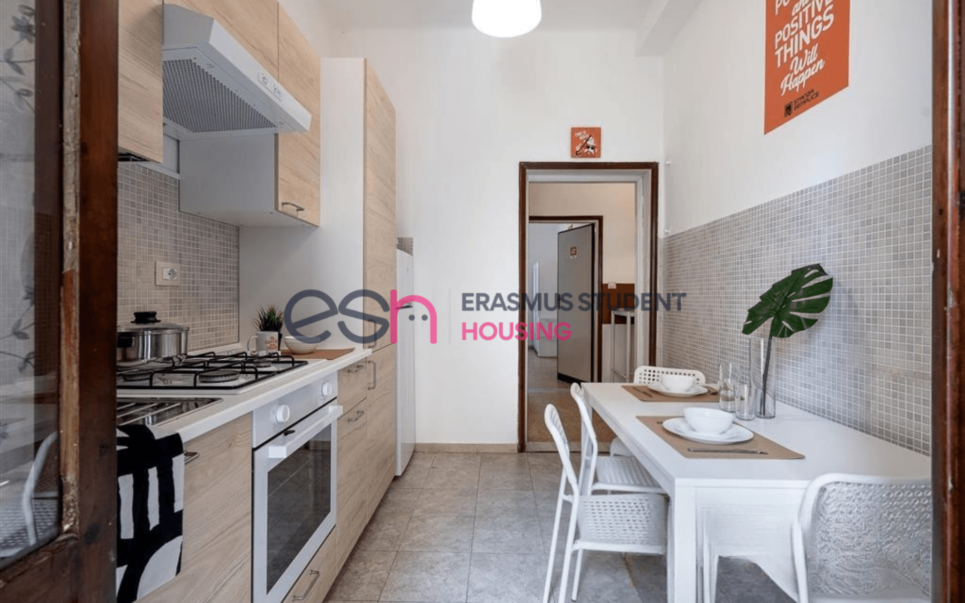 Shared Room in Pisa photo 5