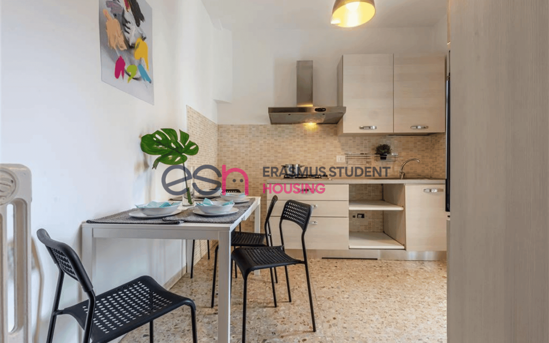 Shared Room in Pisa photo 5