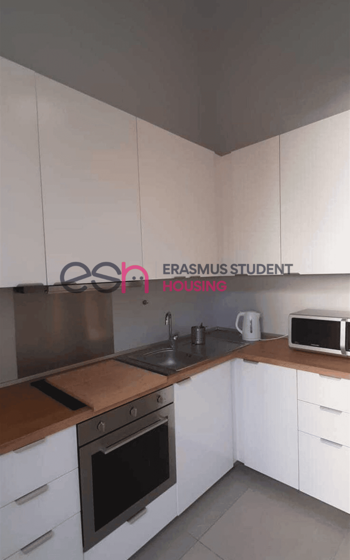 Shared Room in Pisa photo 5