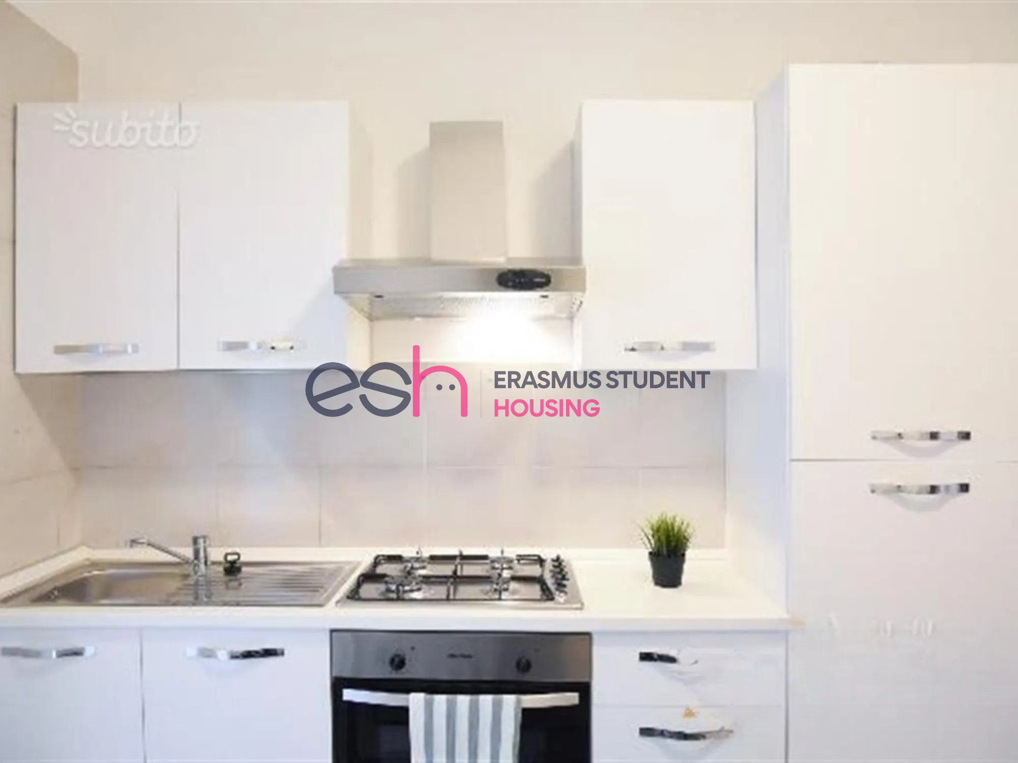 Shared Room in Pisa photo 4