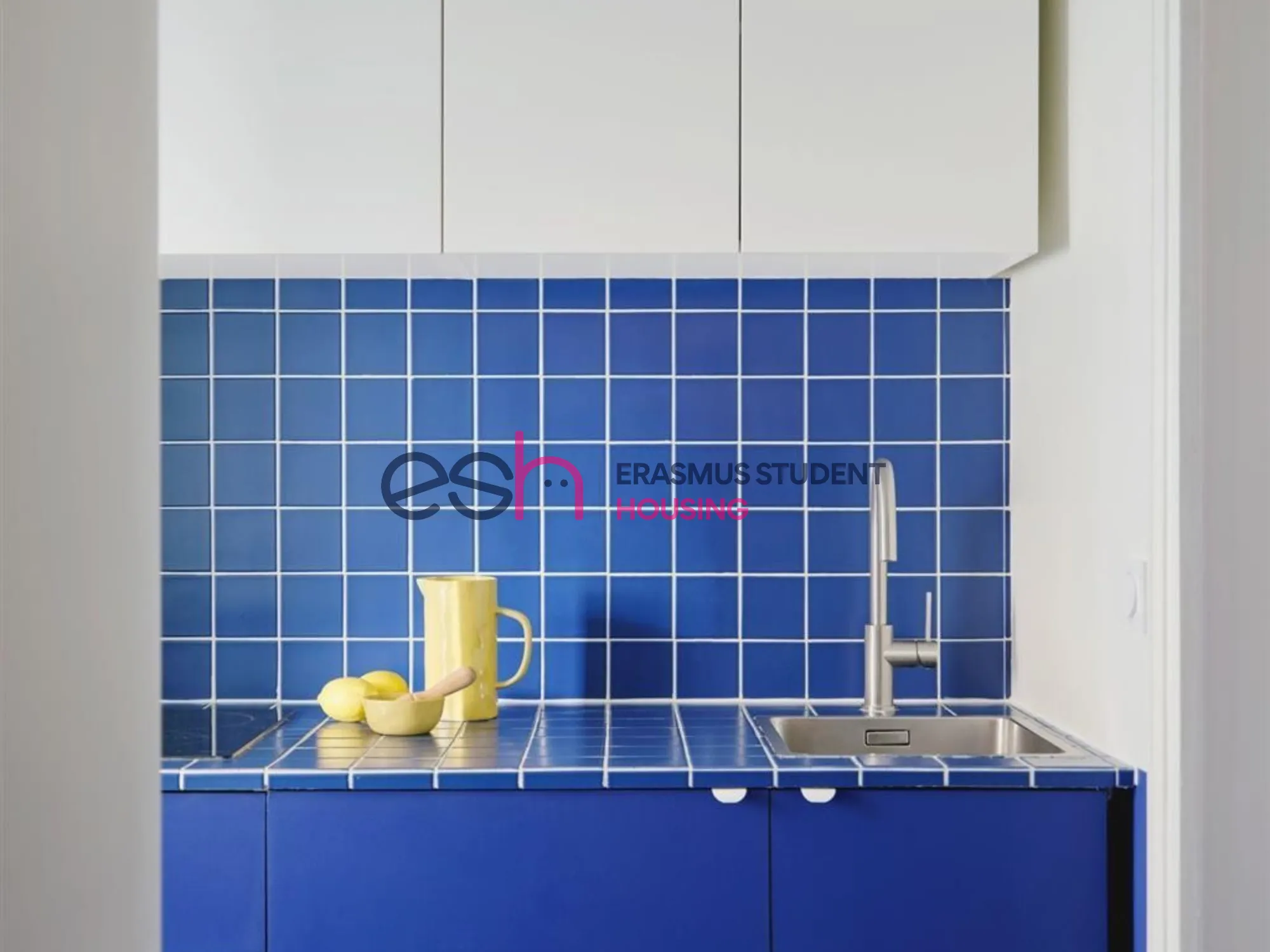 Shared Room in Pisa photo 5