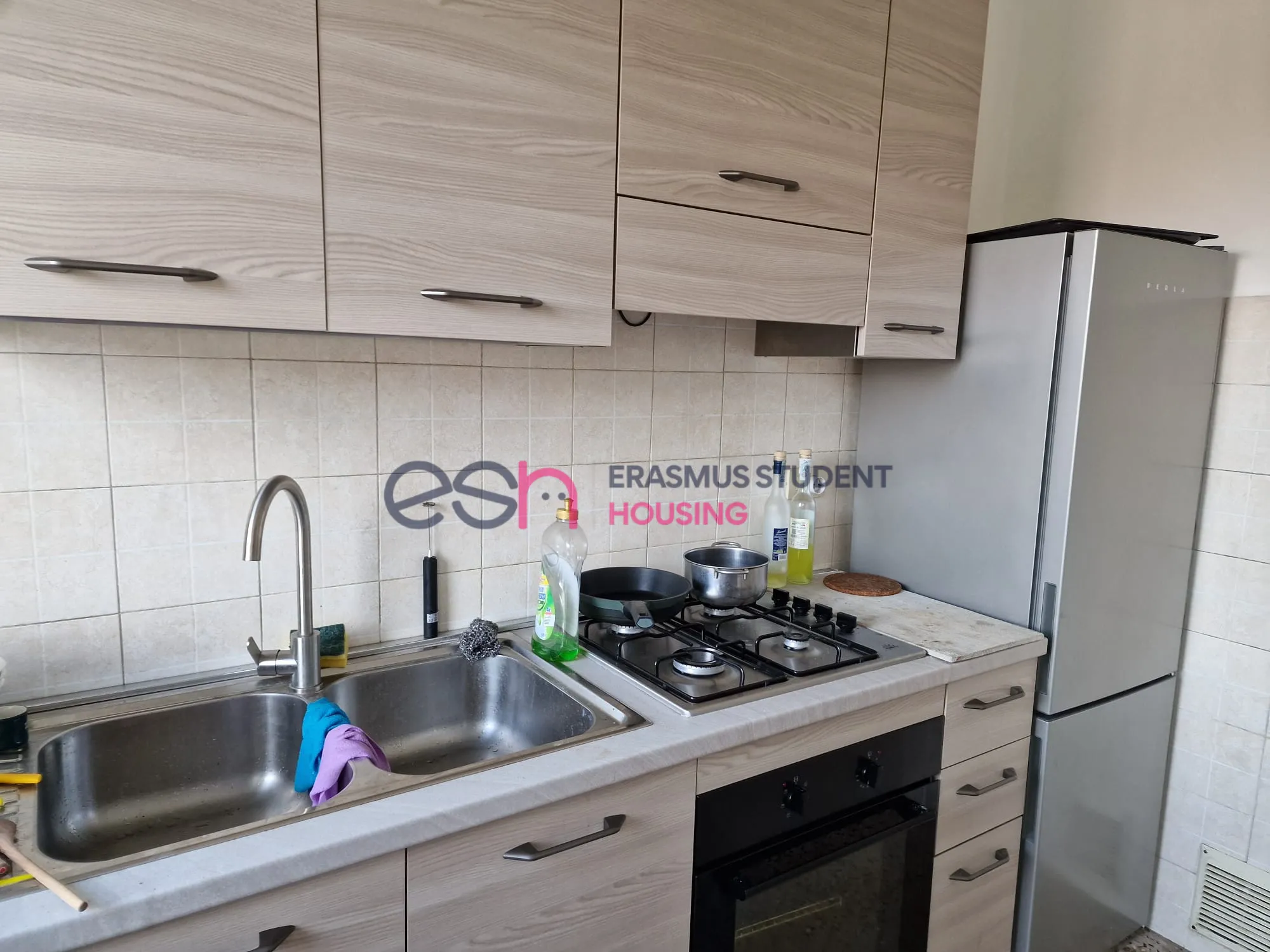 Shared Room in Pisa photo 5