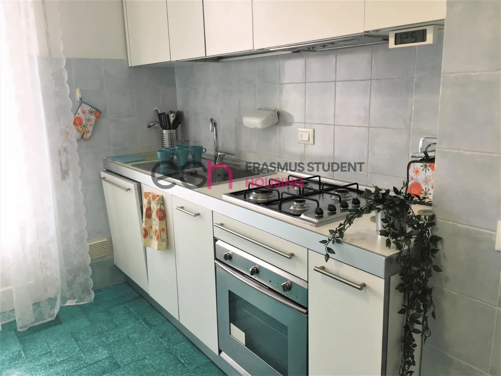 Shared Room in Florence photo 3