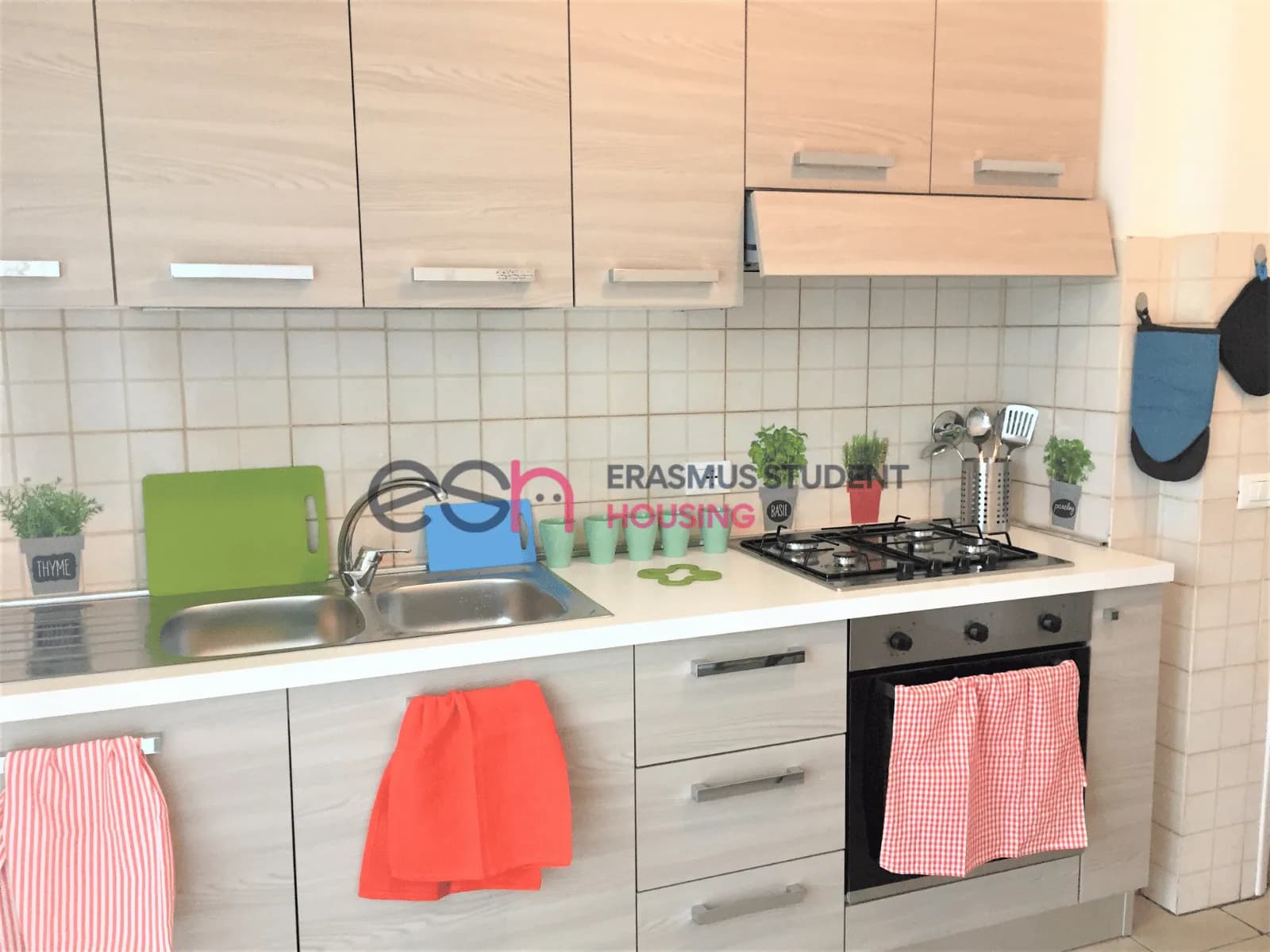 Shared Room in Florence photo 5