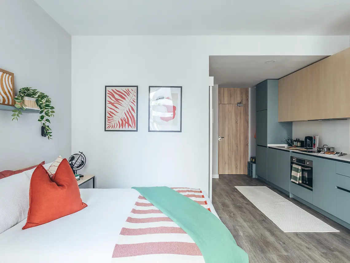 Executive Studio in Seville 4