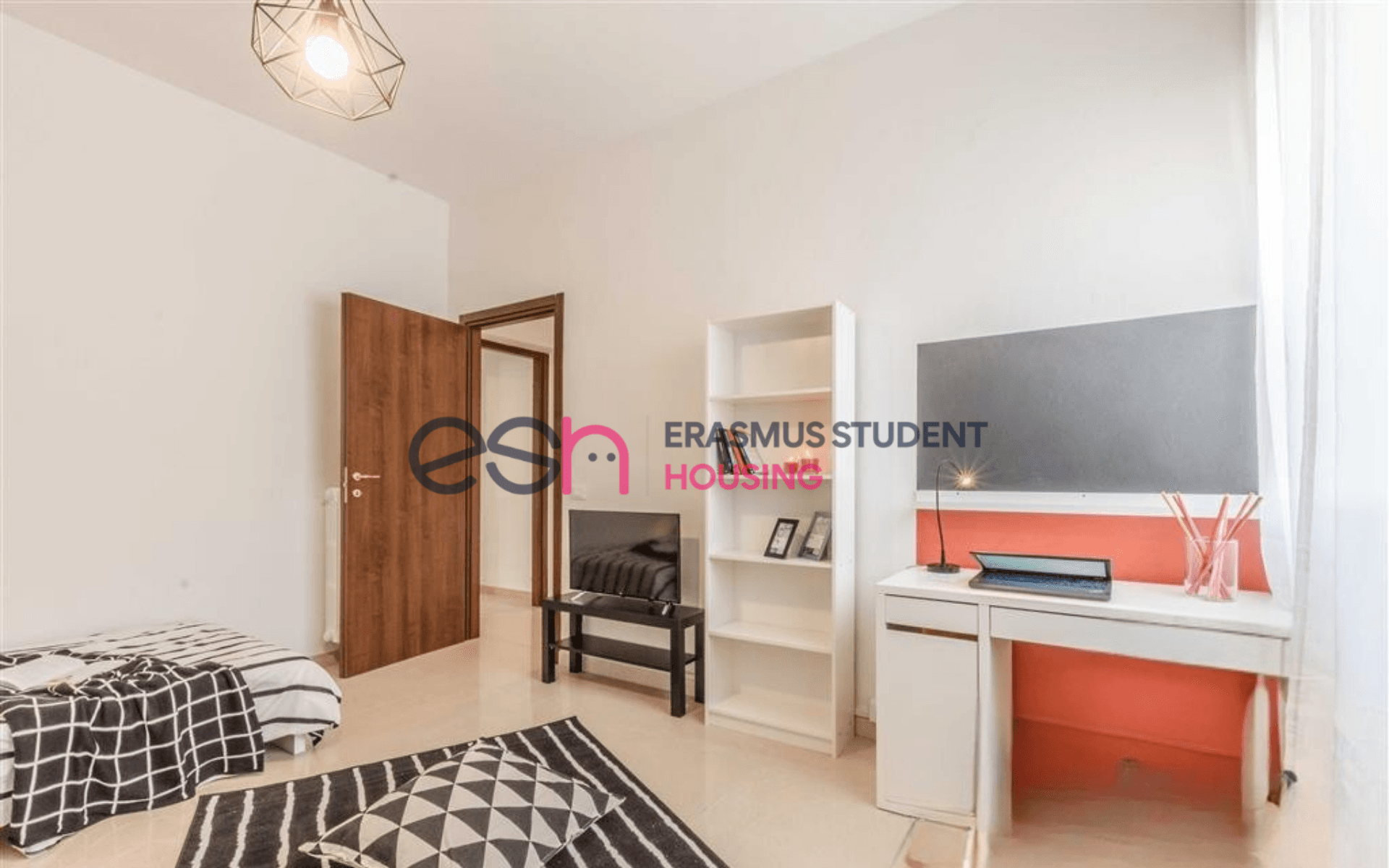 Shared Room in Pisa photo 2