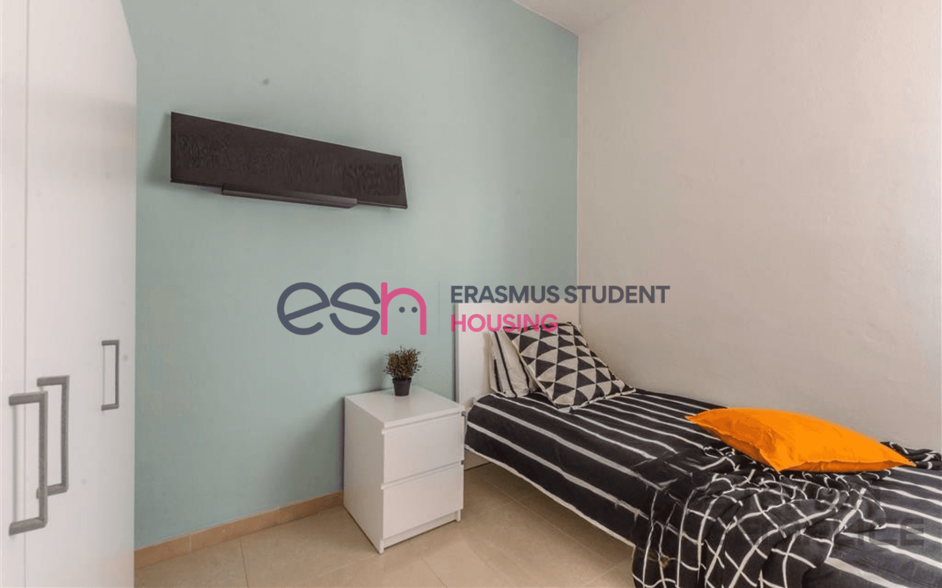 Shared Room in Pisa photo 3