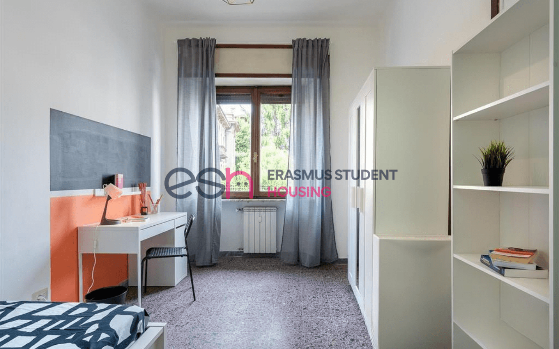 Shared Room in Pisa photo 3