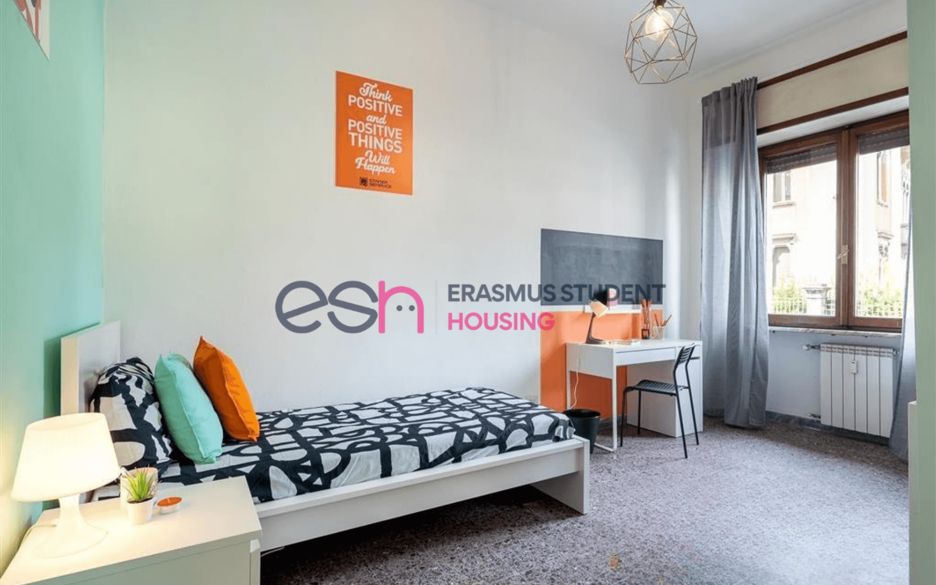 Shared Room in Pisa photo 4