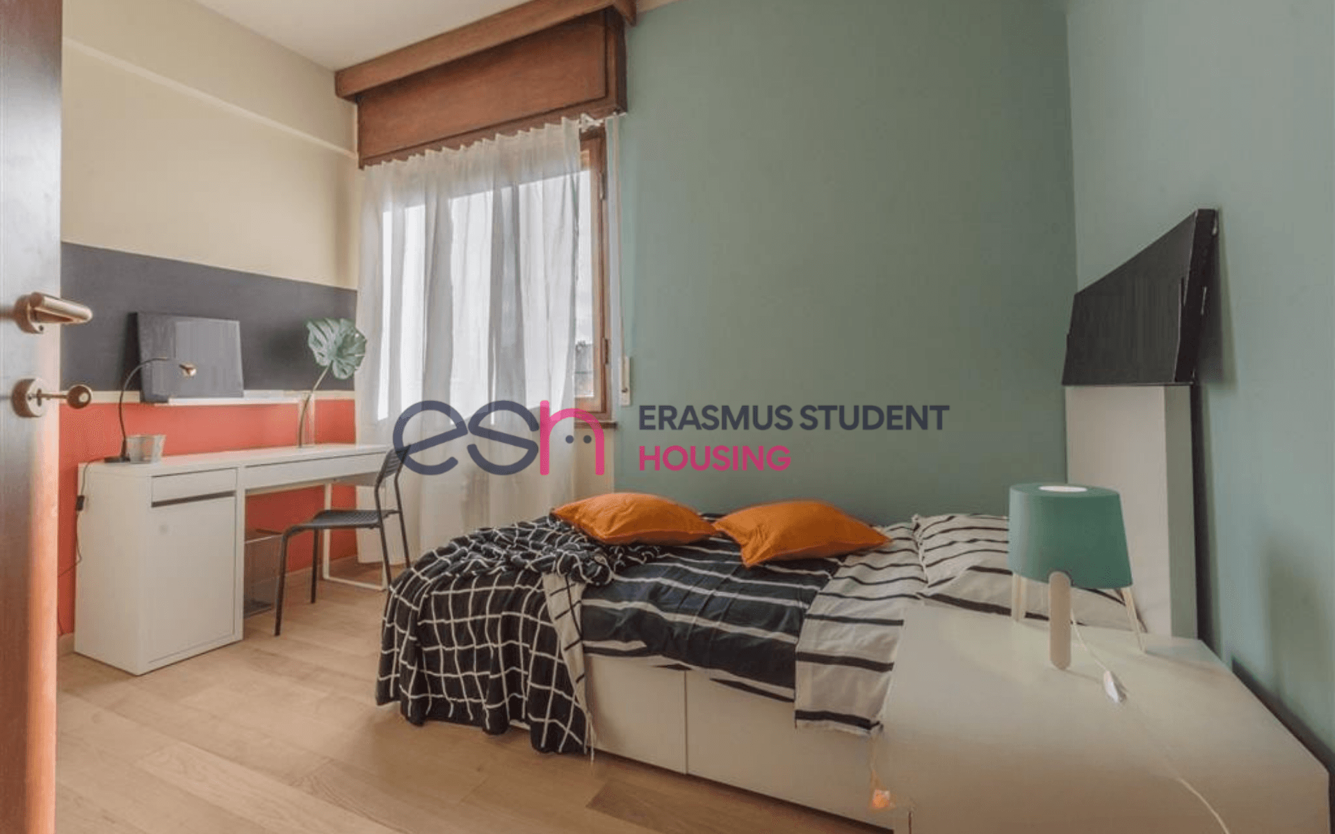 Shared Room in Pisa photo 3