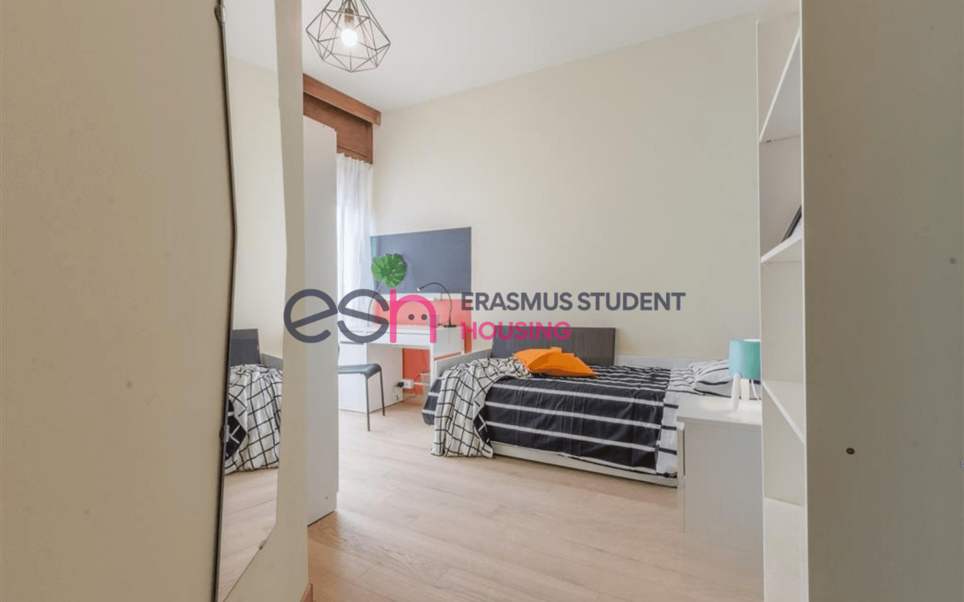 Shared Room in Pisa photo 4