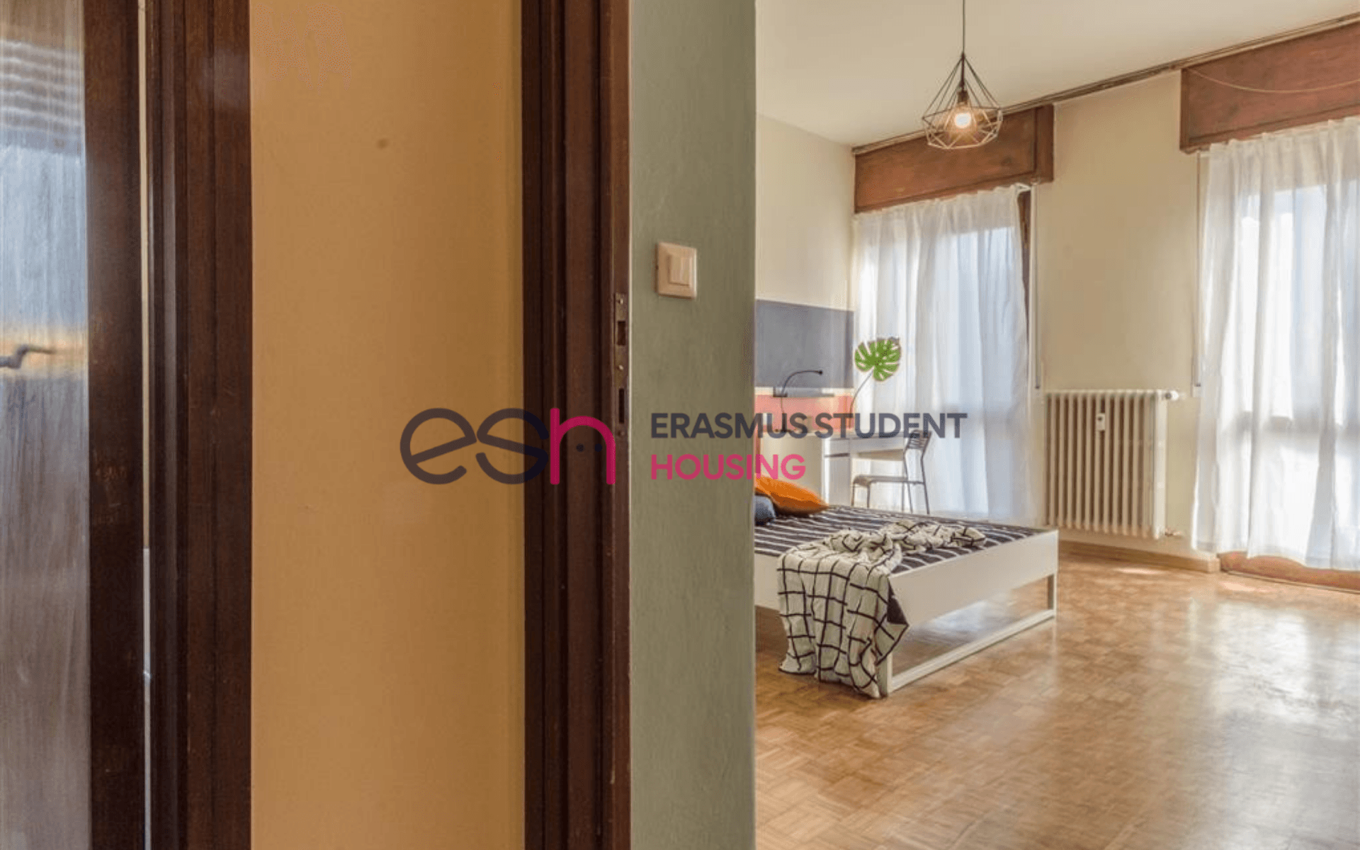 Shared Room in Pisa photo 5