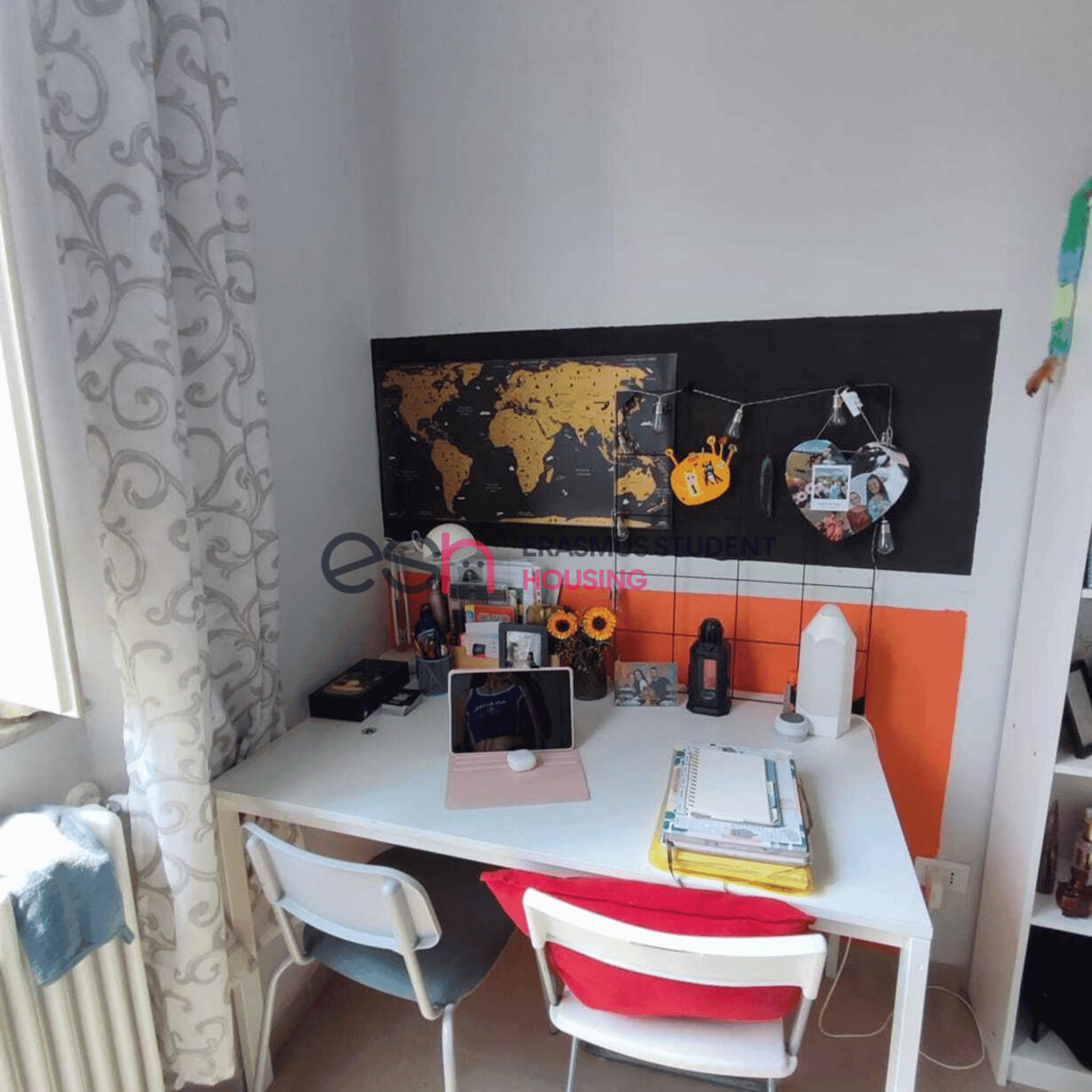 Shared Room in Pisa photo 3