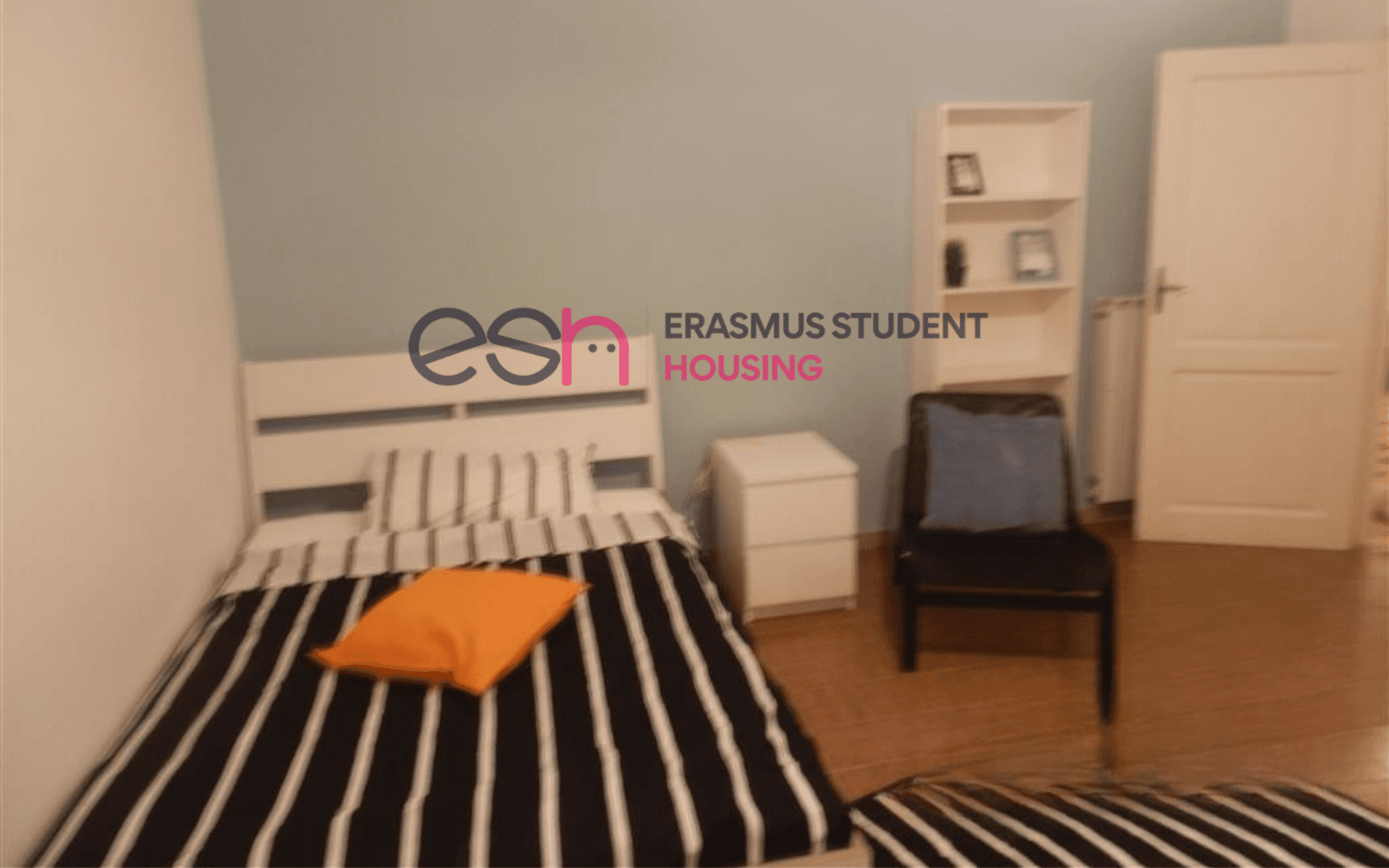 Shared Room in Pisa photo 2