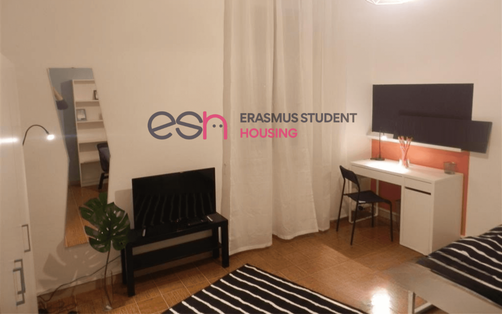 Shared Room in Pisa photo 4