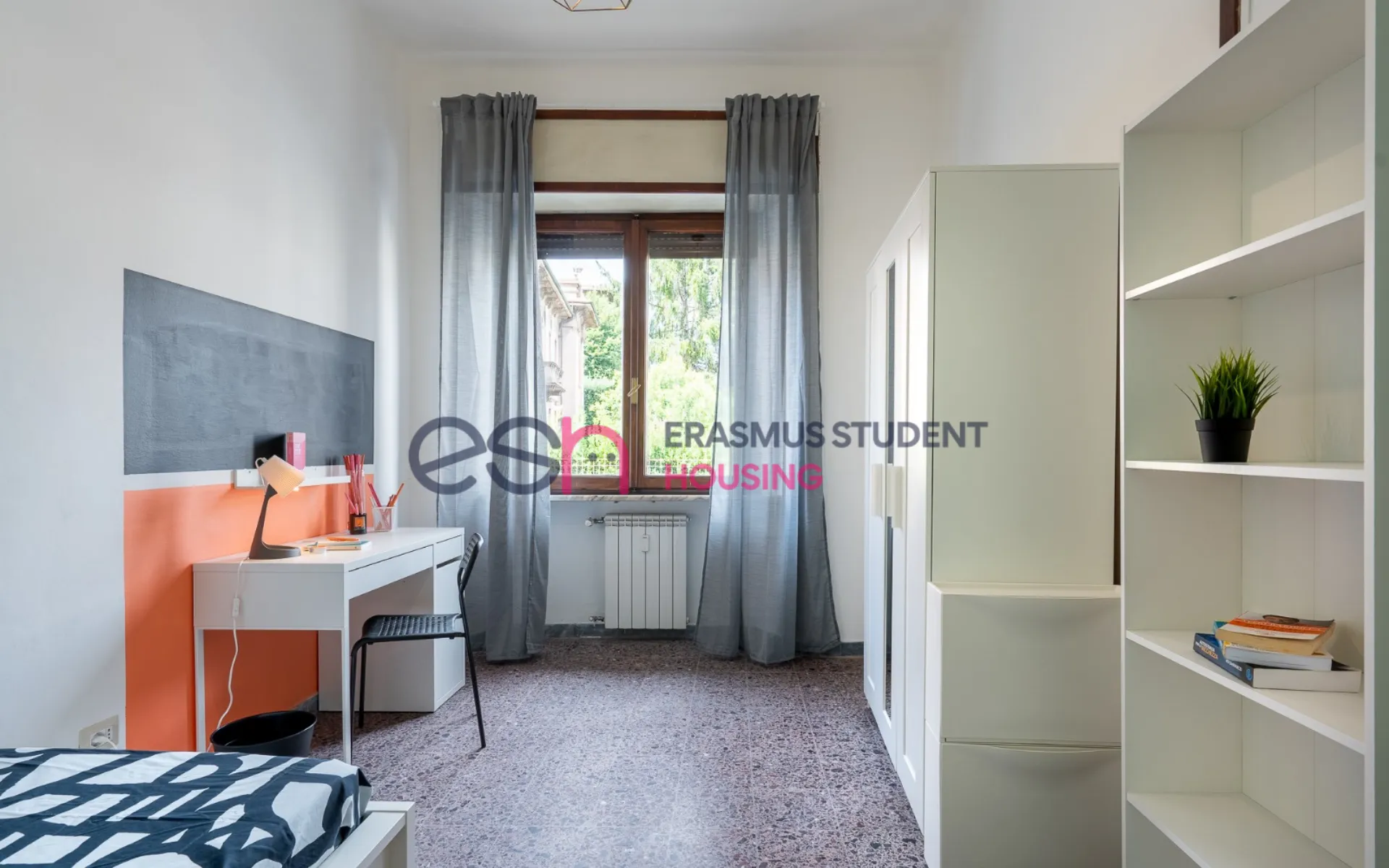 Shared Room in Pisa photo 3