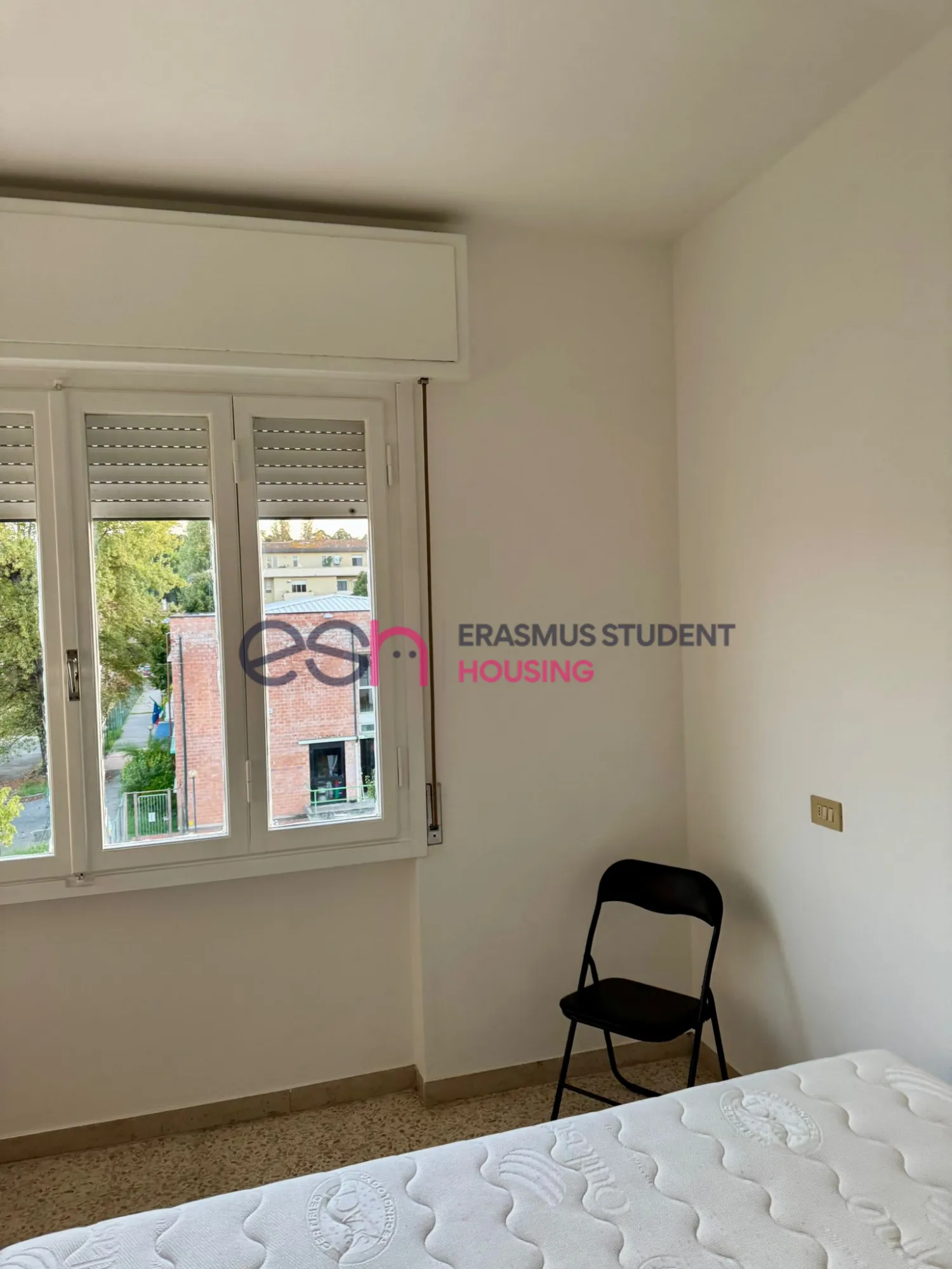 Shared Room in Pisa photo 3