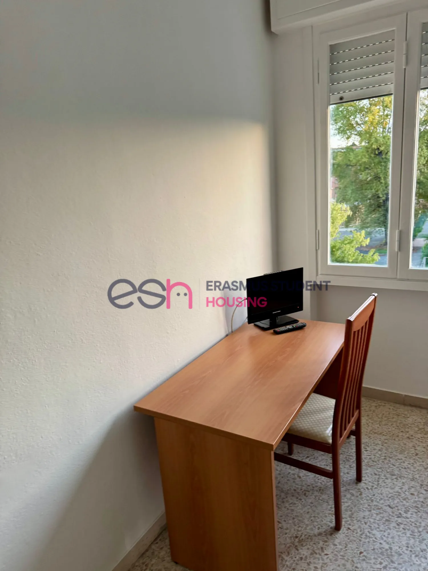 Shared Room in Pisa photo 4