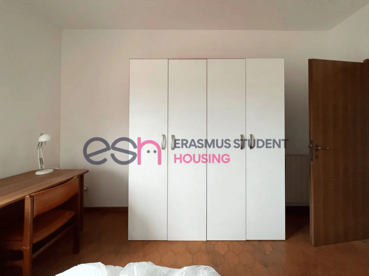 Shared Room in Pisa photo 2