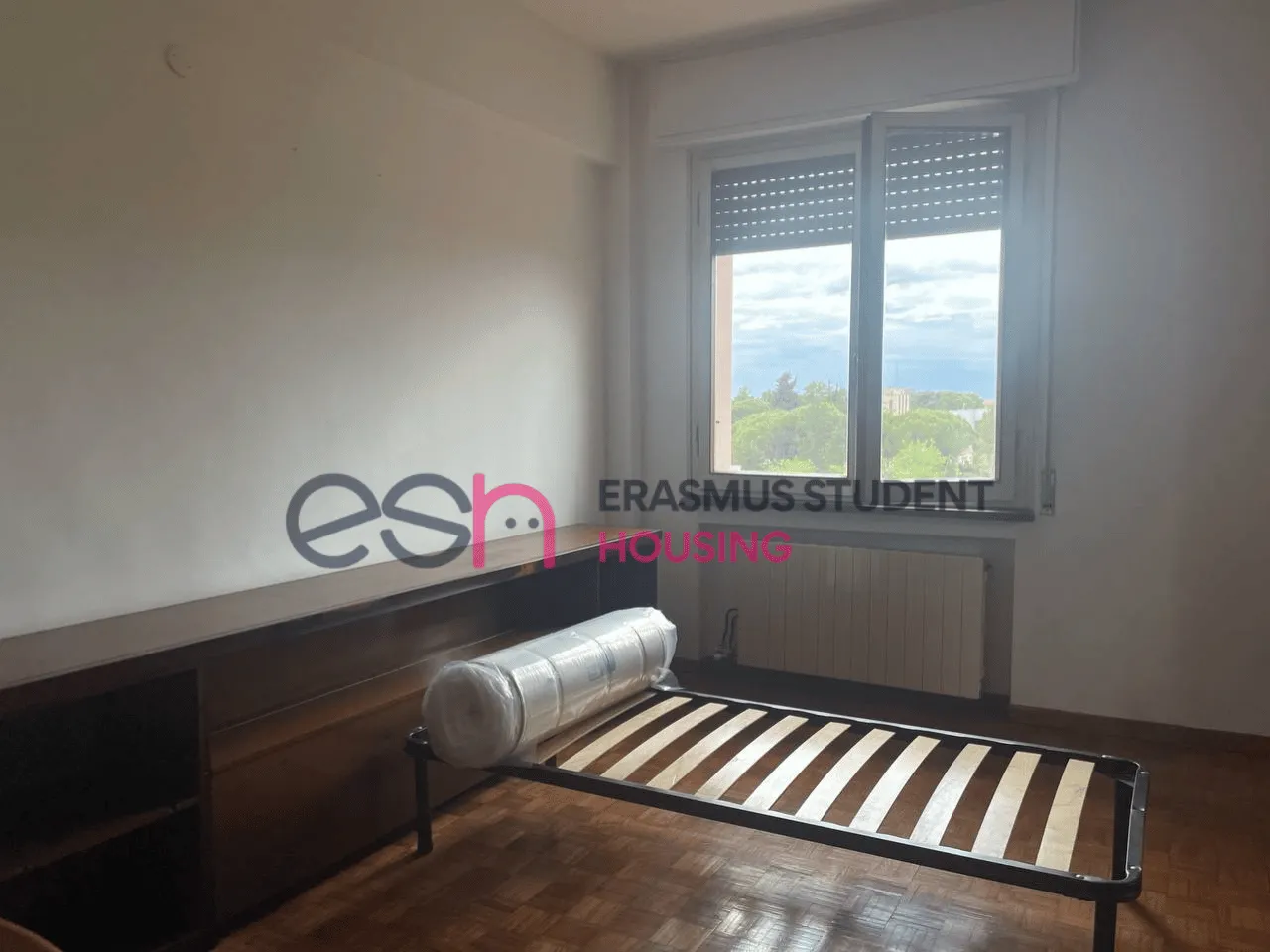 Shared Room in Pisa photo 5