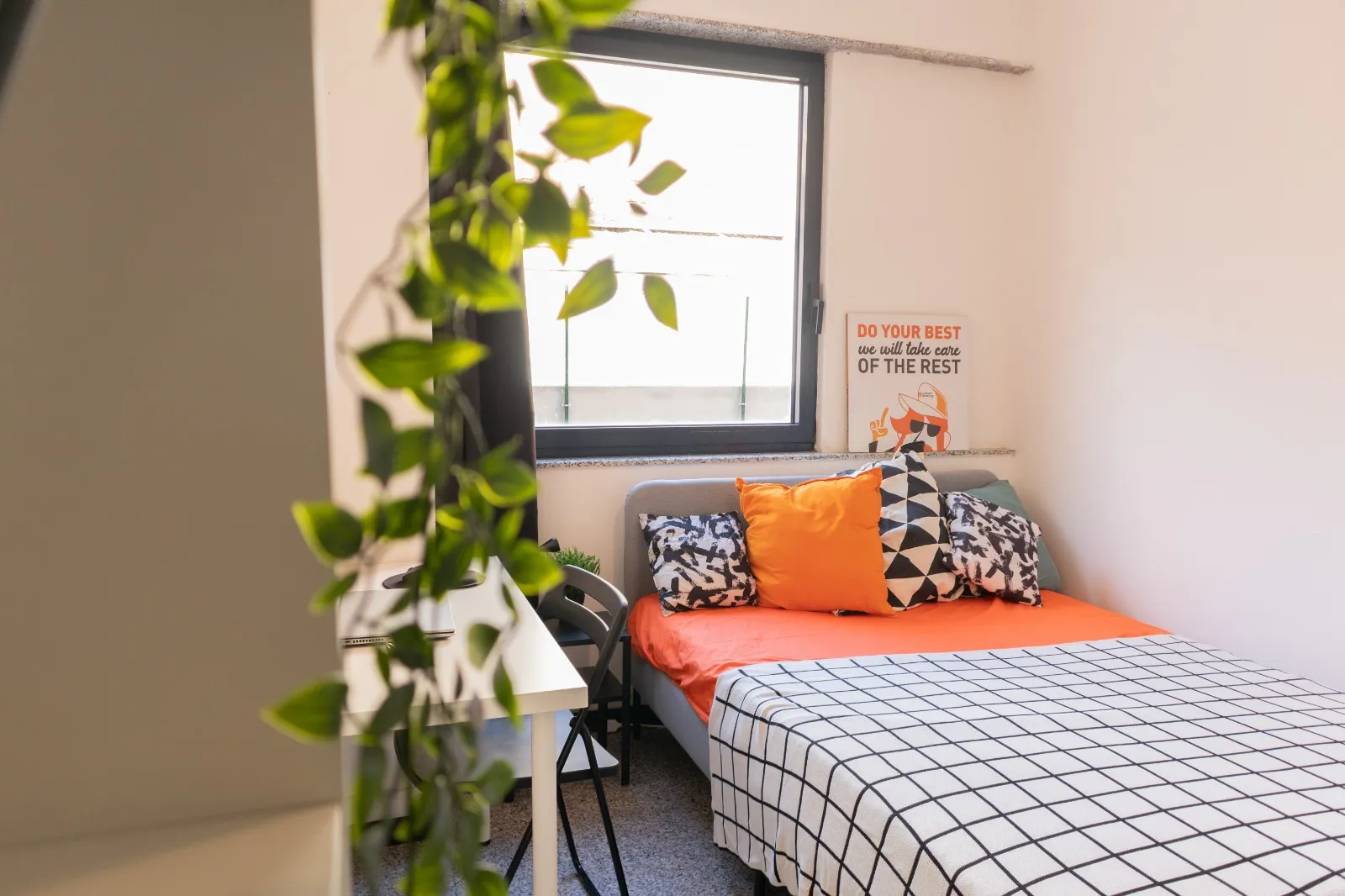 Shared Room in Cagliari photo 3