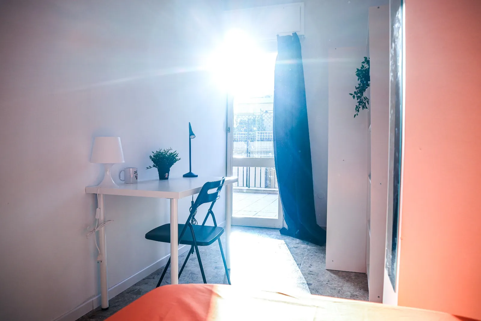 Shared Room in Cagliari photo 2