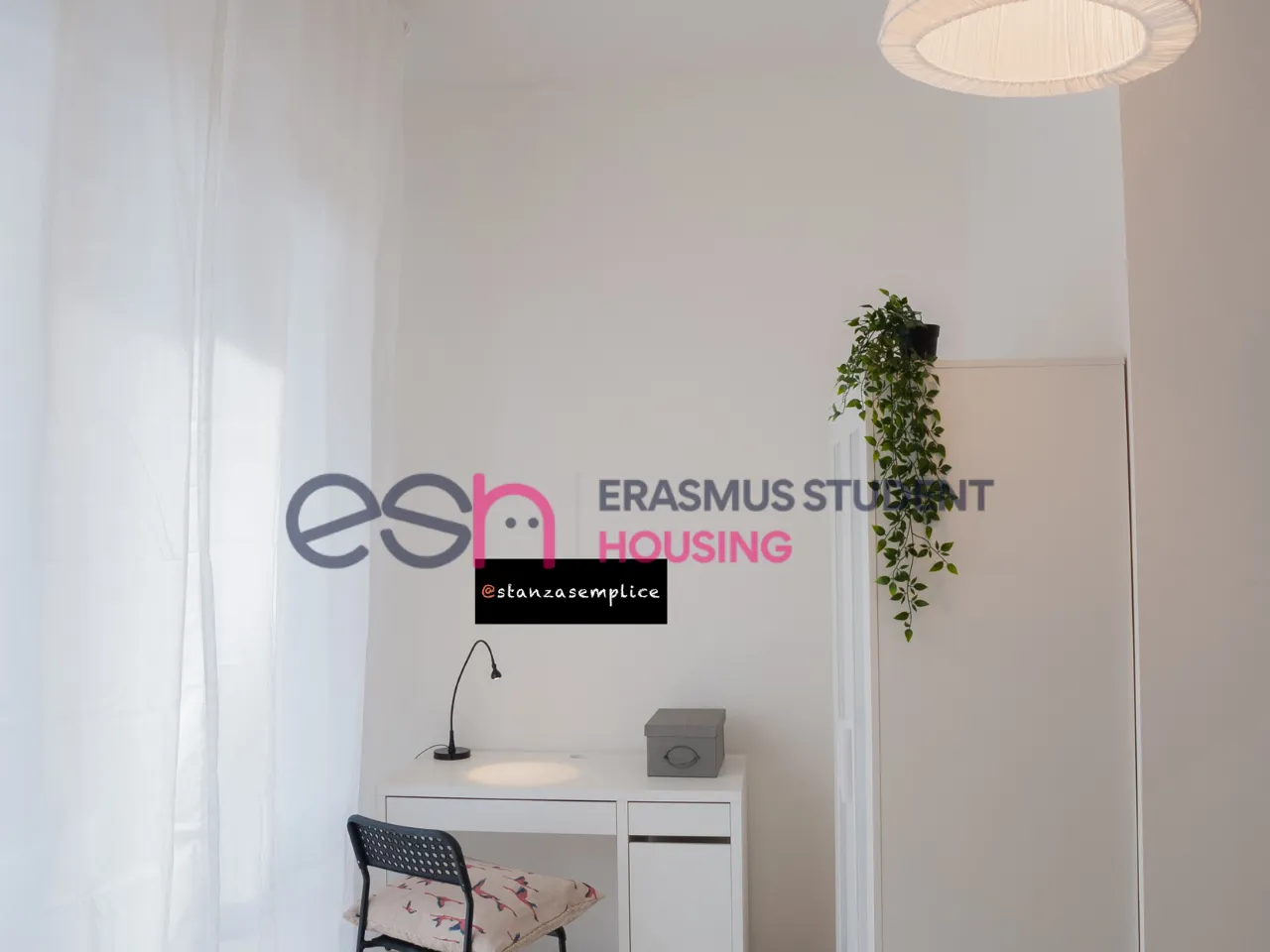 Shared Room in Florence photo 3