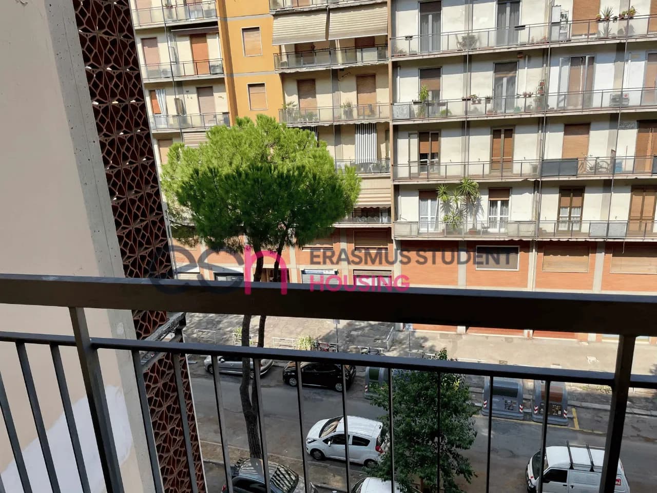 Shared Room in Florence photo 3