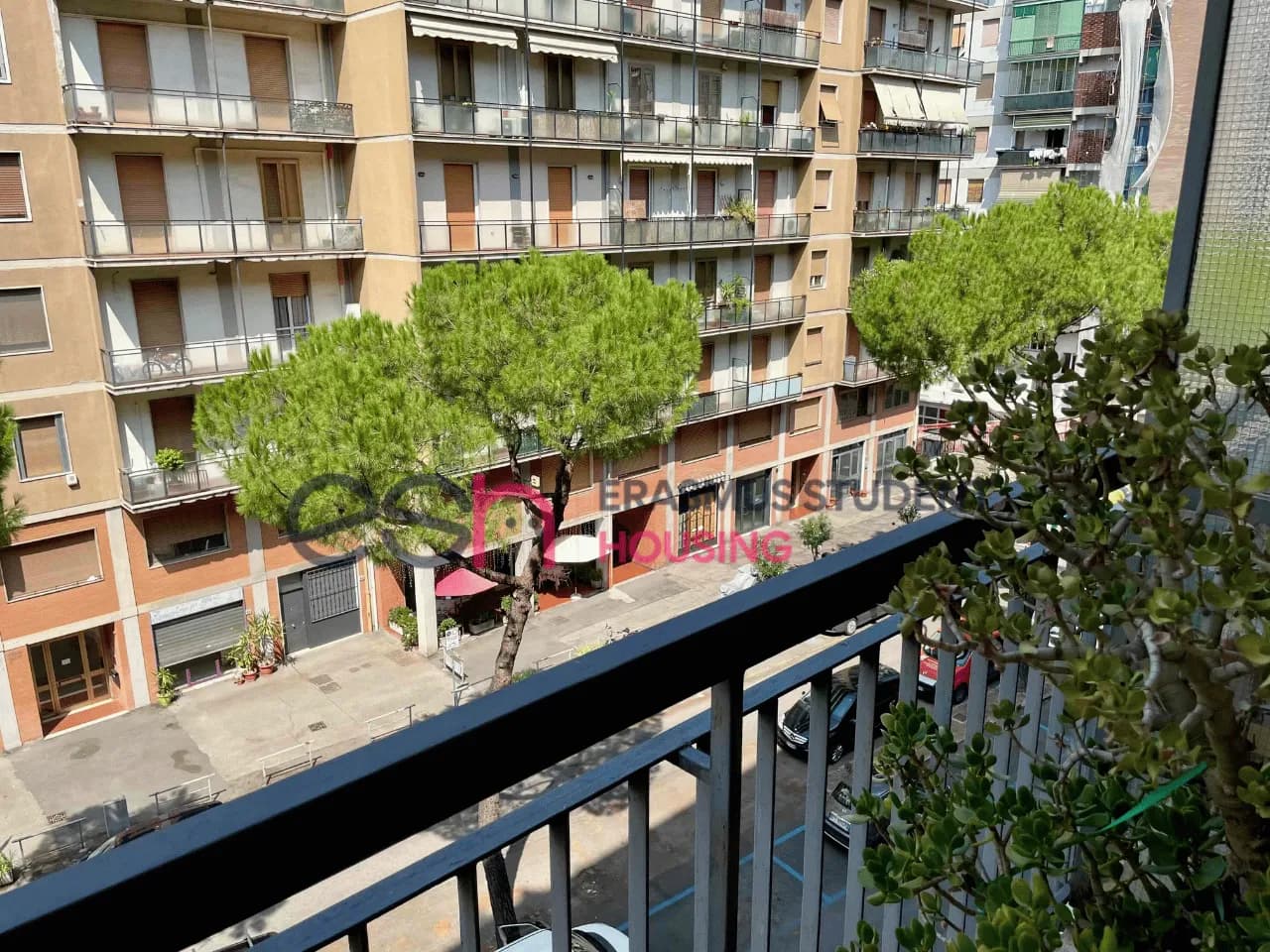 Shared Room in Florence photo 2