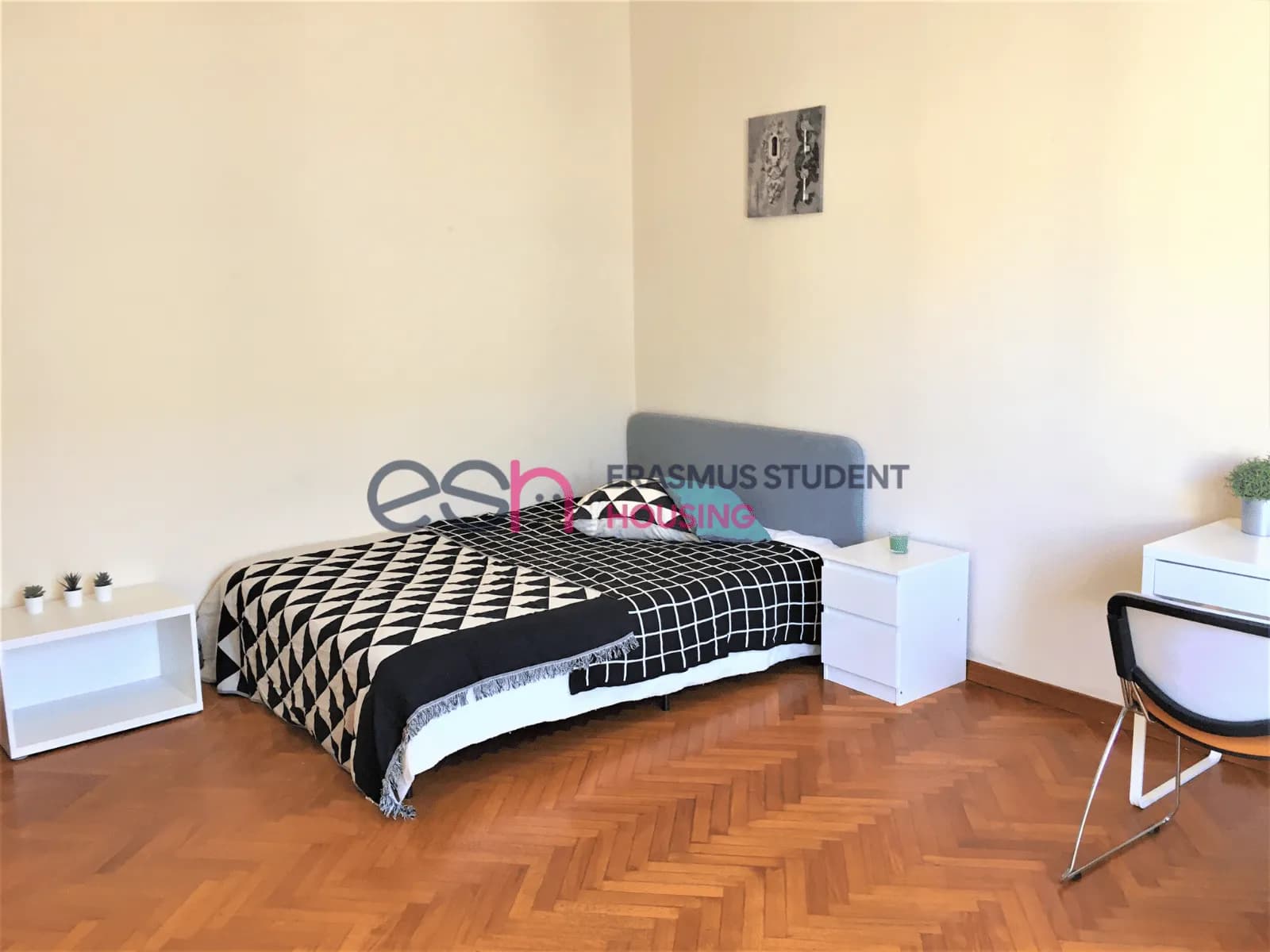 Shared Room in Florence photo 5