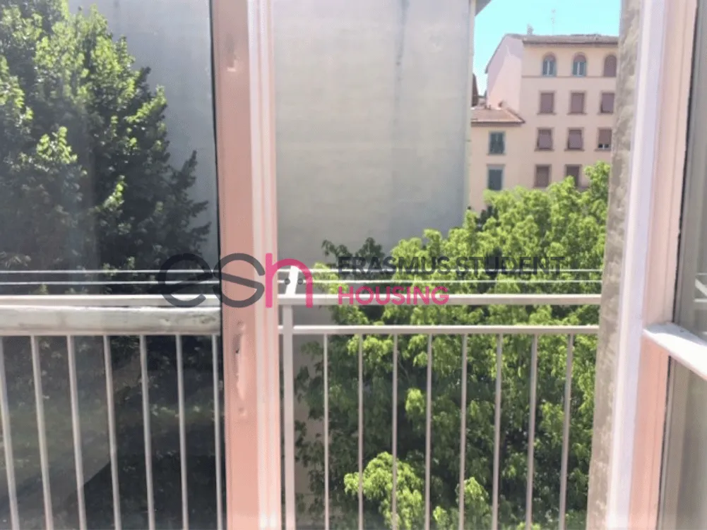 Shared Room in Florence photo 5