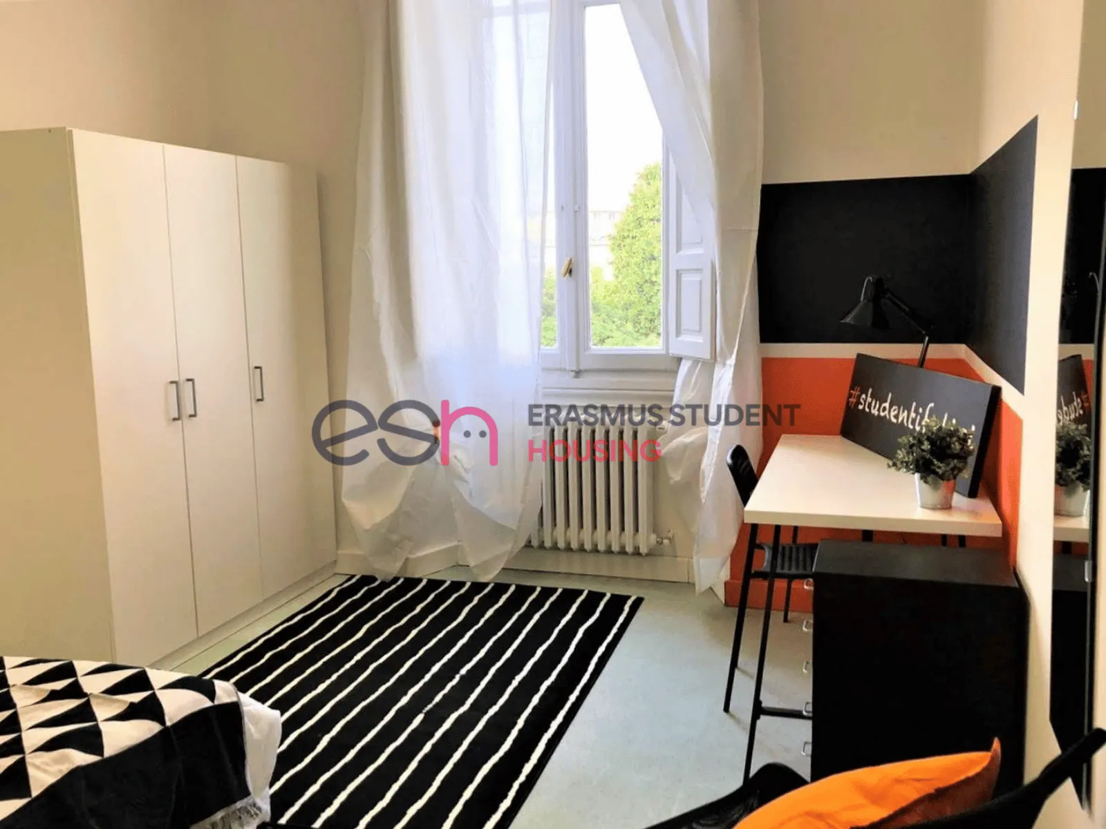 Shared Room in Florence photo 5