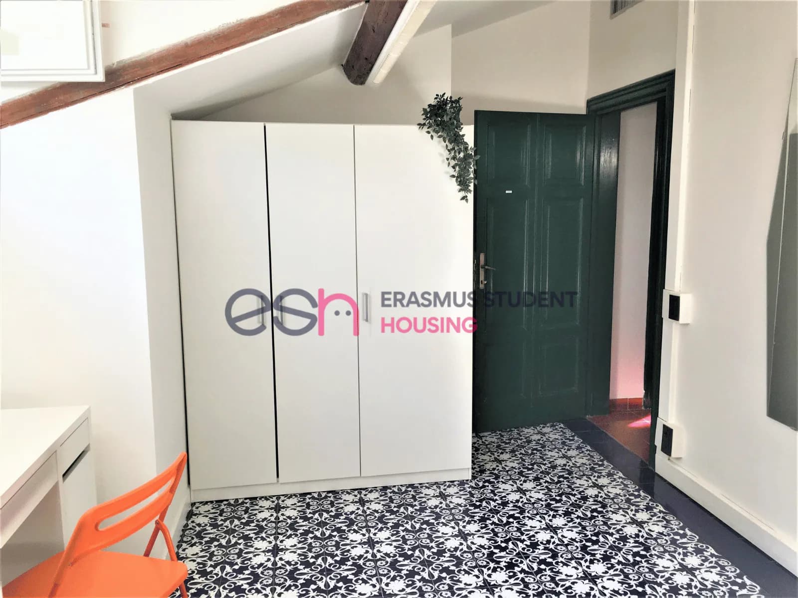 Shared Room in Florence photo 2