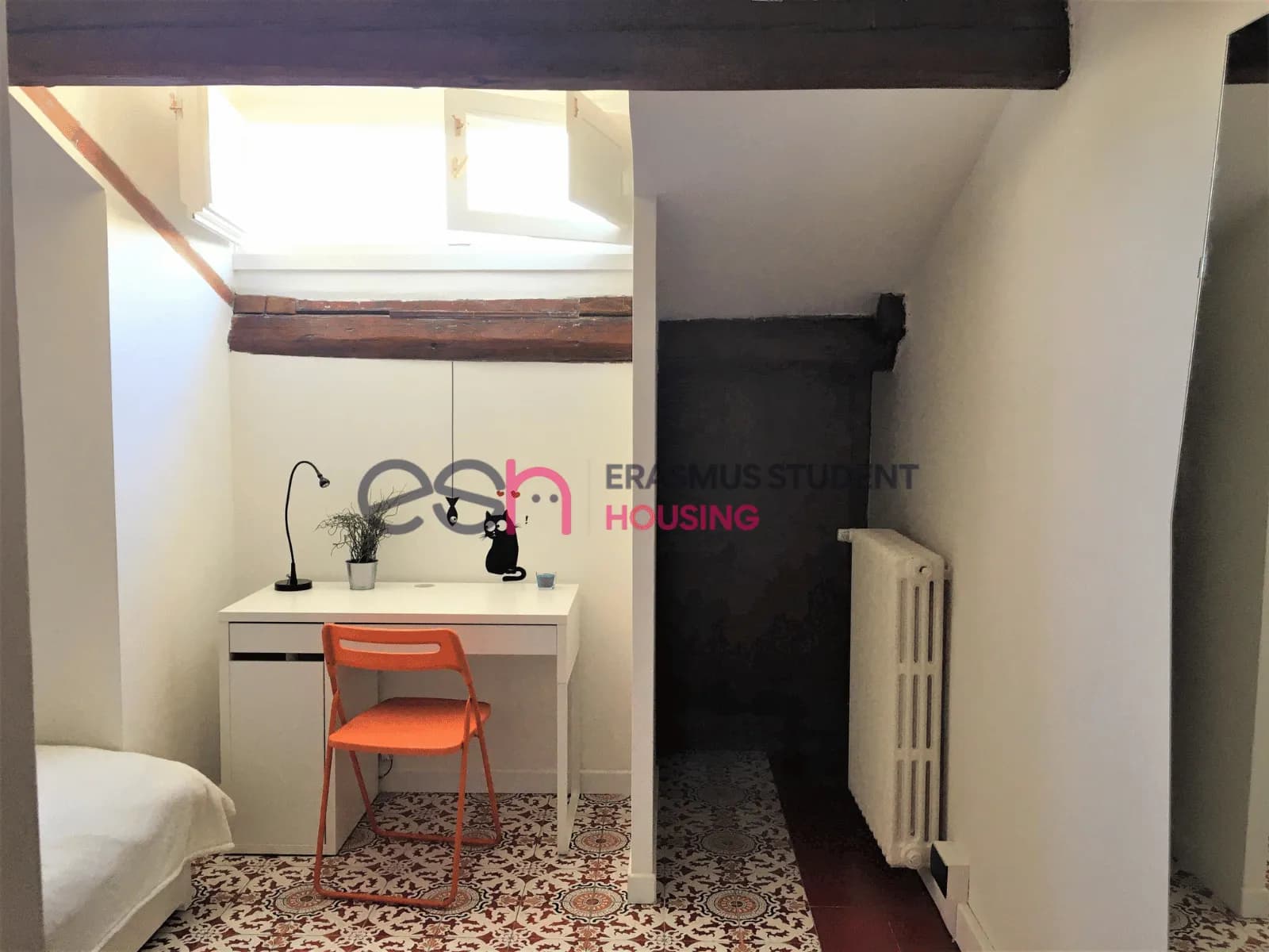 Shared Room in Florence photo 2