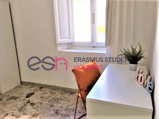 Shared Room in Florence photo 4