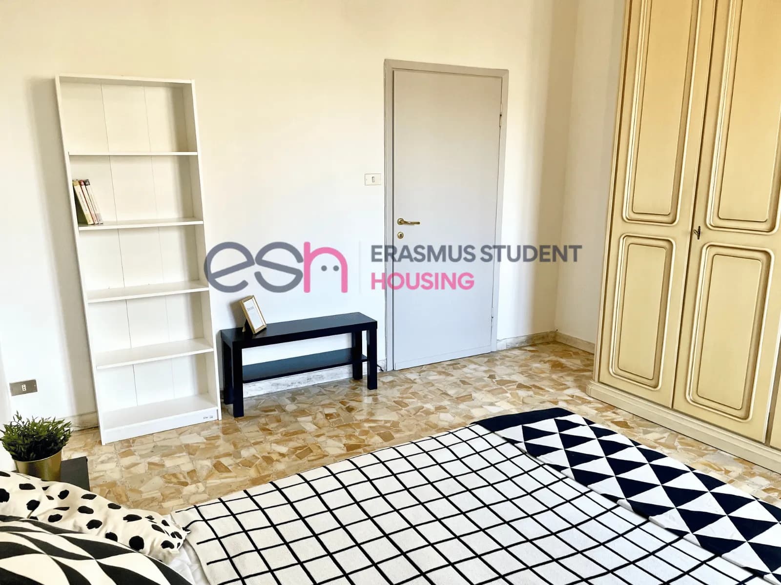 Shared Room in Florence photo 3