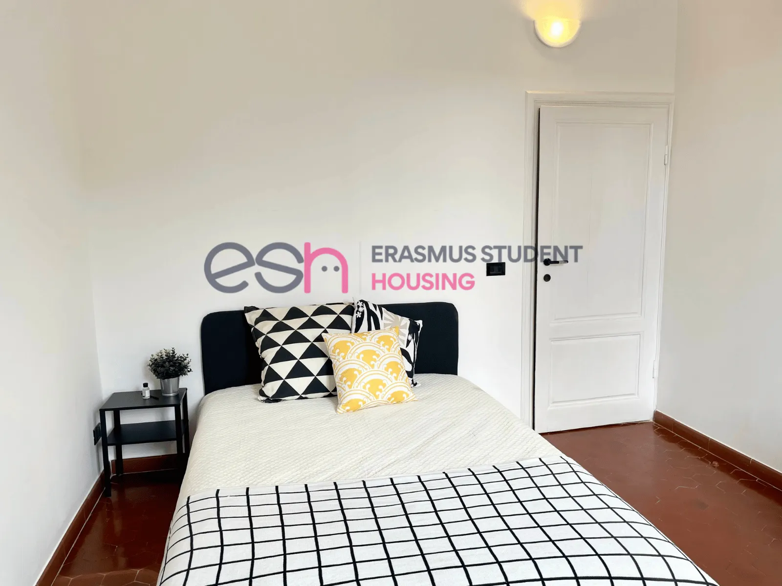 Shared Room in Florence photo 3