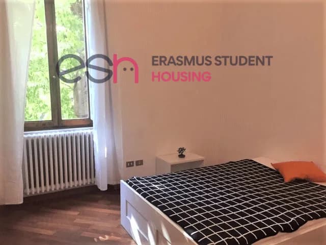 Shared Room in Florence photo 3