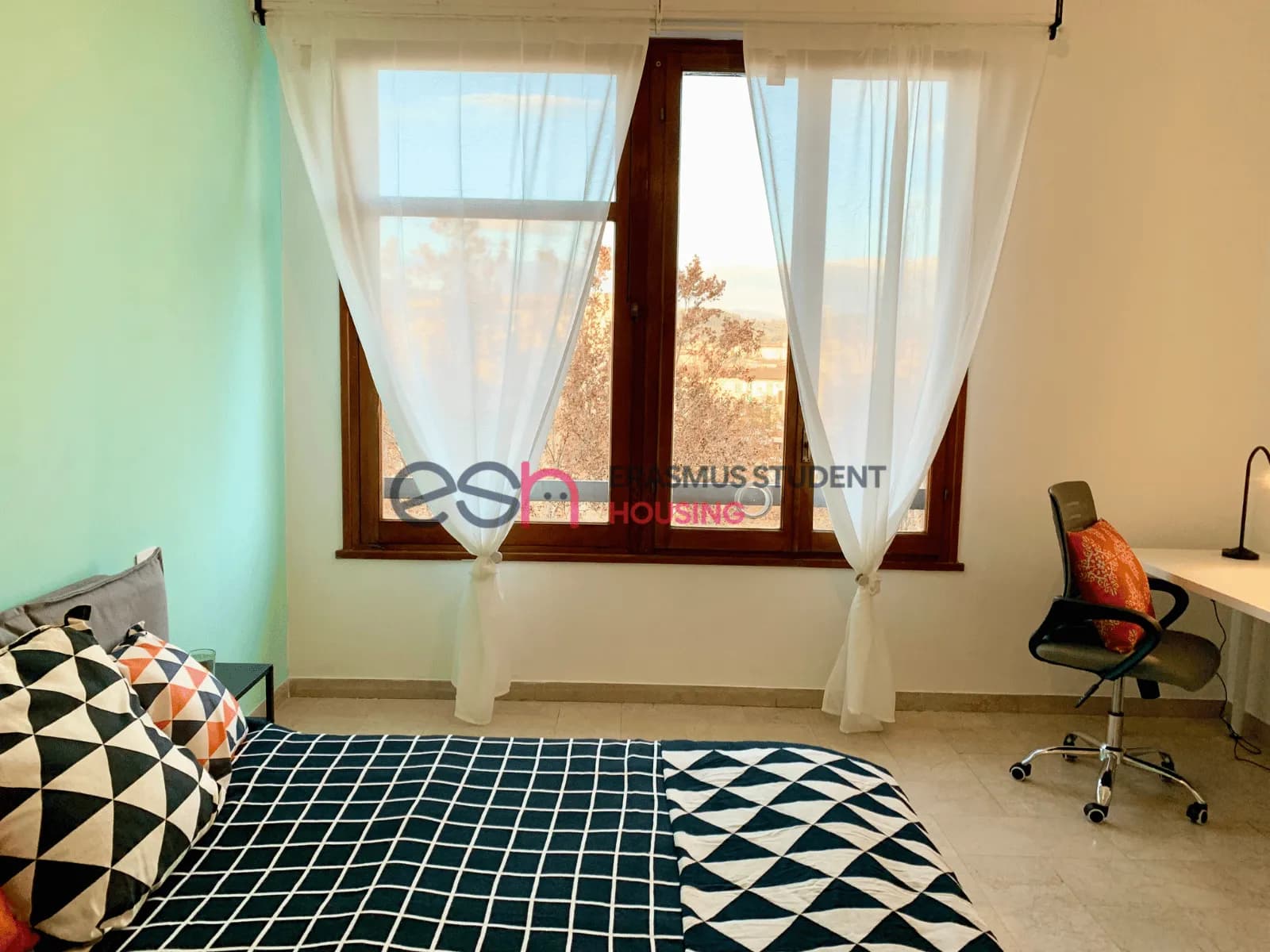 Shared Room in Florence photo 4