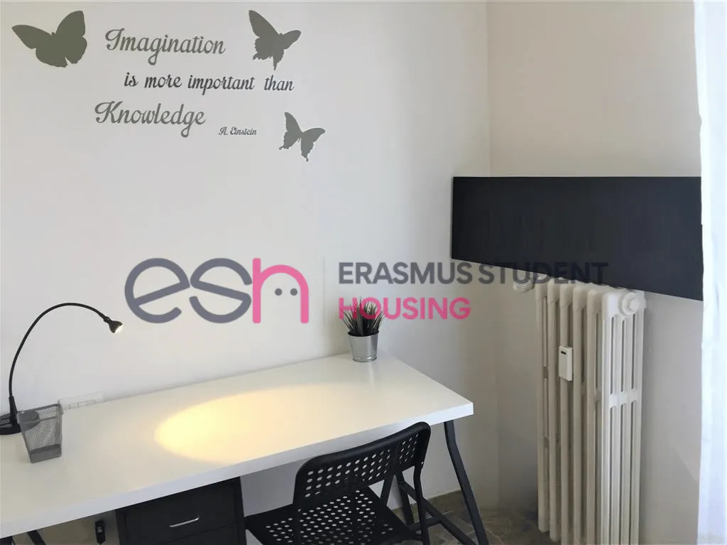 Shared Room in Florence photo 2