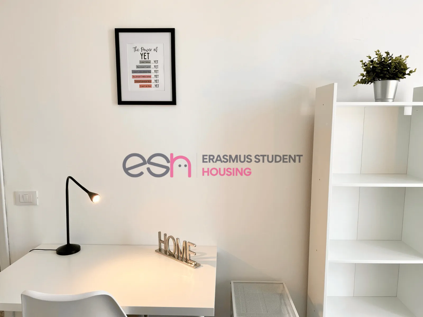 Shared Room in Florence photo 5