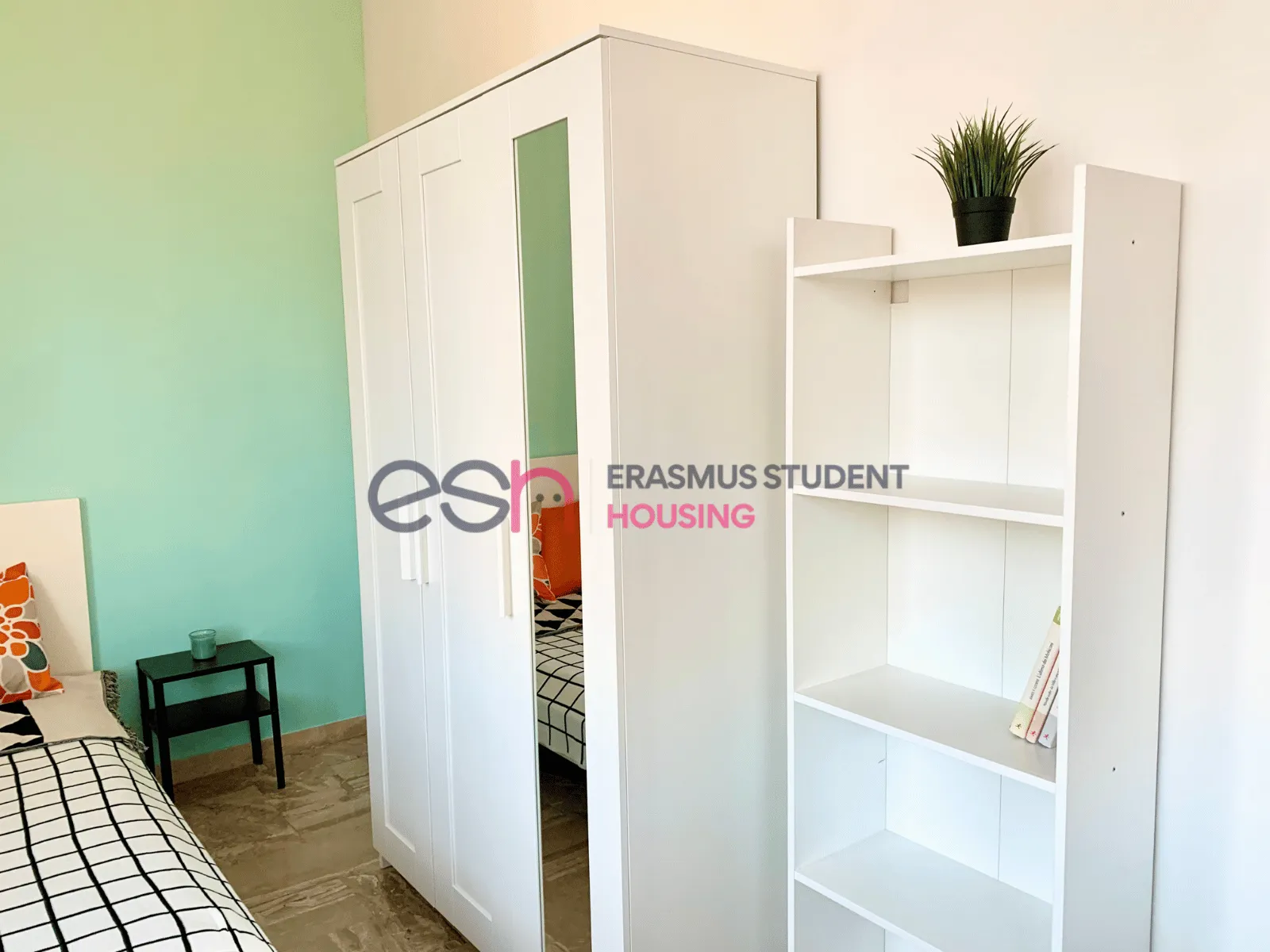 Shared Room in Florence photo 5