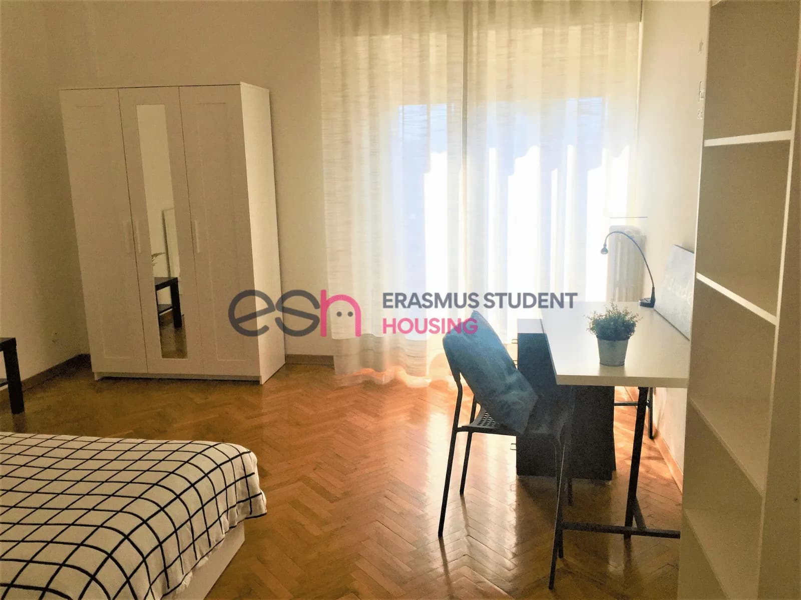 Shared Room in Florence photo 3