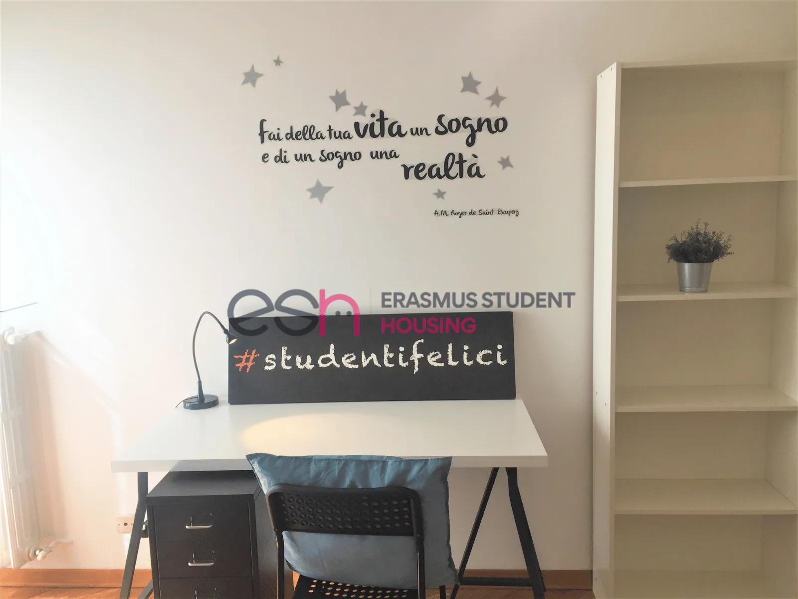 Shared Room in Florence photo 5