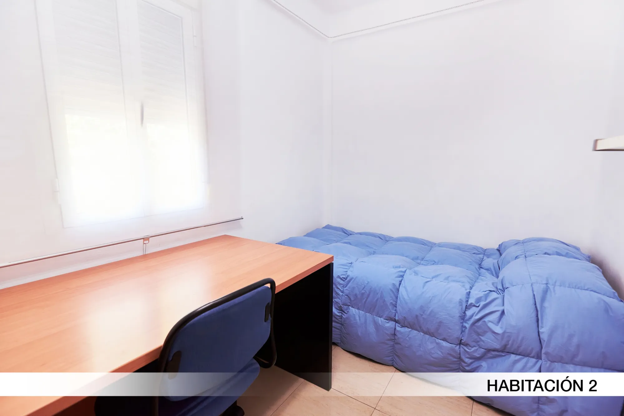 Shared Room in Seville photo 4