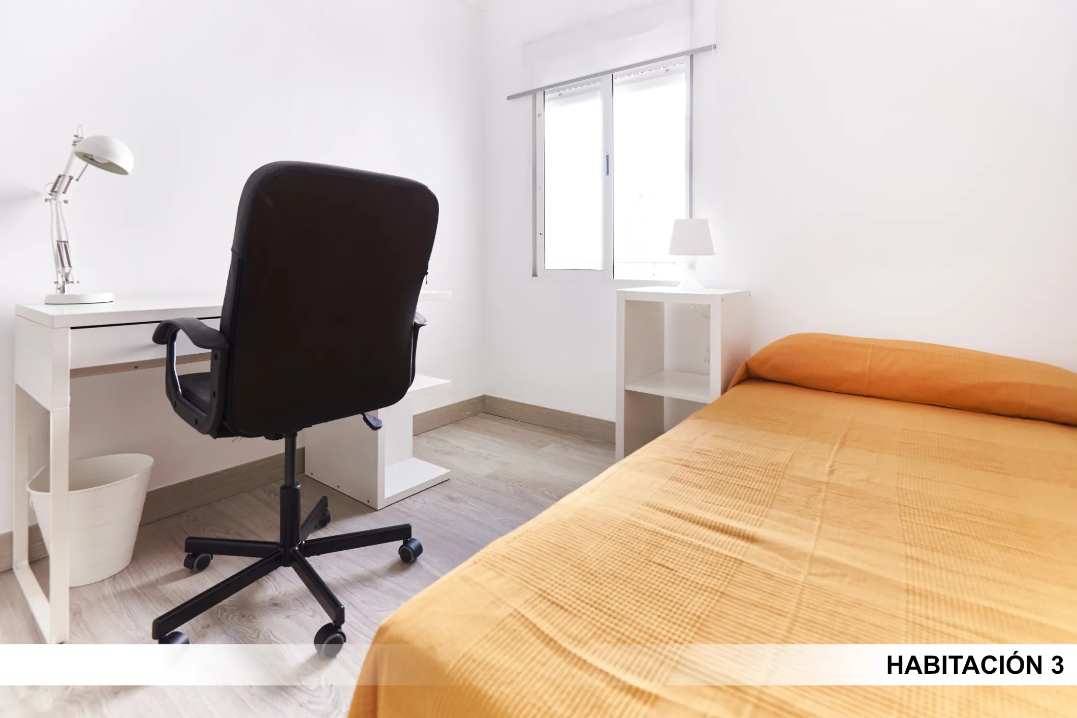 Shared Room in Seville photo 4