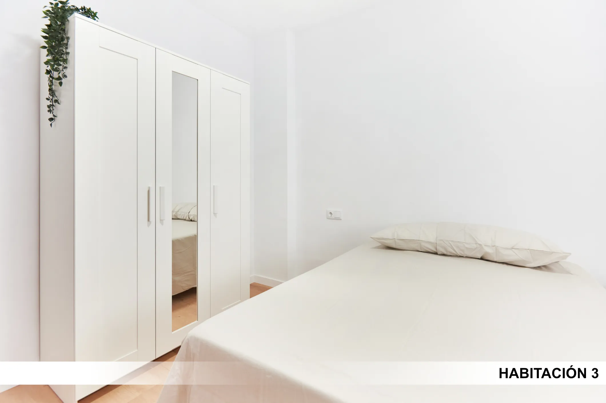 Shared Room in Seville photo 3